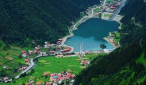 ayder 3