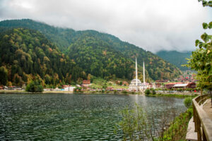 ayder 5