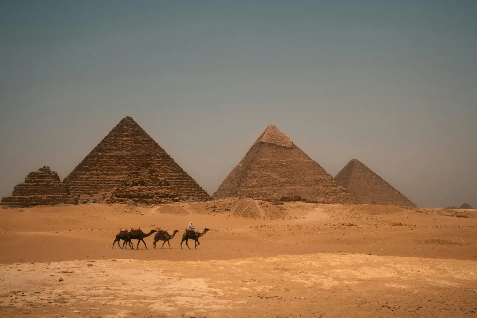 Ana Sayfa A camel caravan travels in front of the iconic Giza pyramids under the warm Egyptian sun.