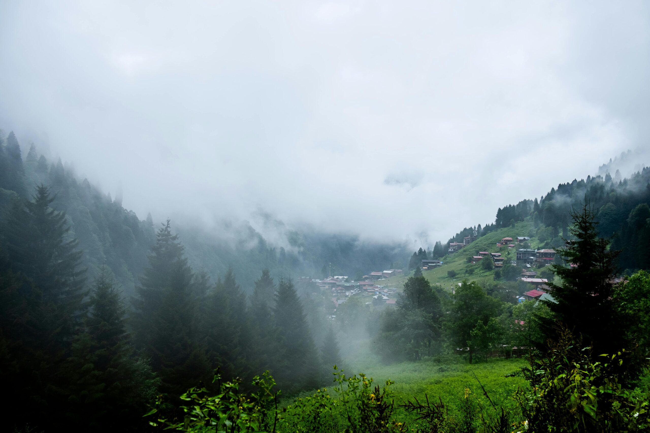 Discover the misty mountains and lush green valleys of Rize, Türkiye, offering a serene nature escape.