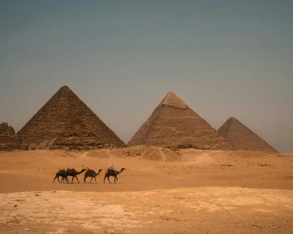 A camel caravan travels in front of the iconic Giza pyramids under the warm Egyptian sun.